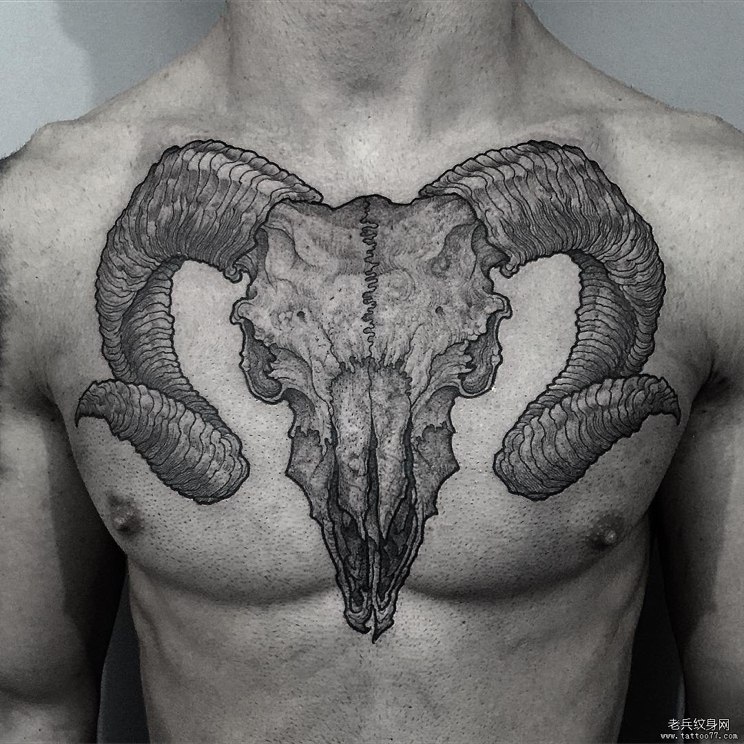 胸部羚羊骷髅头纹身图案