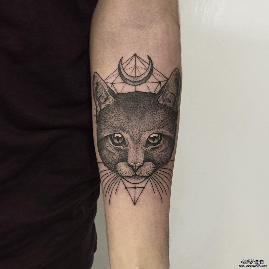 小臂猫点刺几何月亮纹身图案