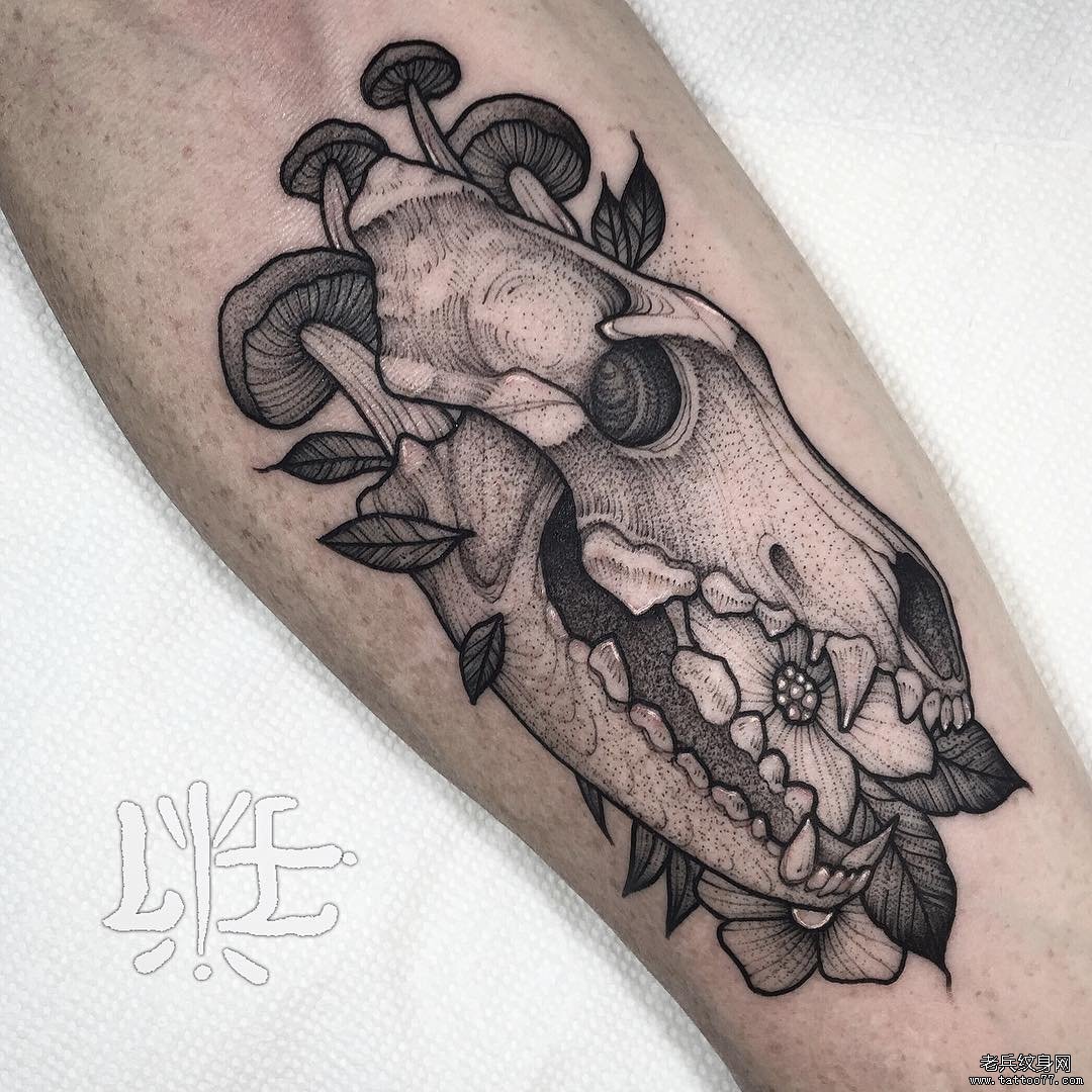 小臂点刺欧美恐龙头骨蘑菇纹身图案