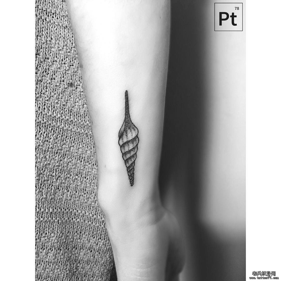 小臂海螺点刺小清新纹身图案