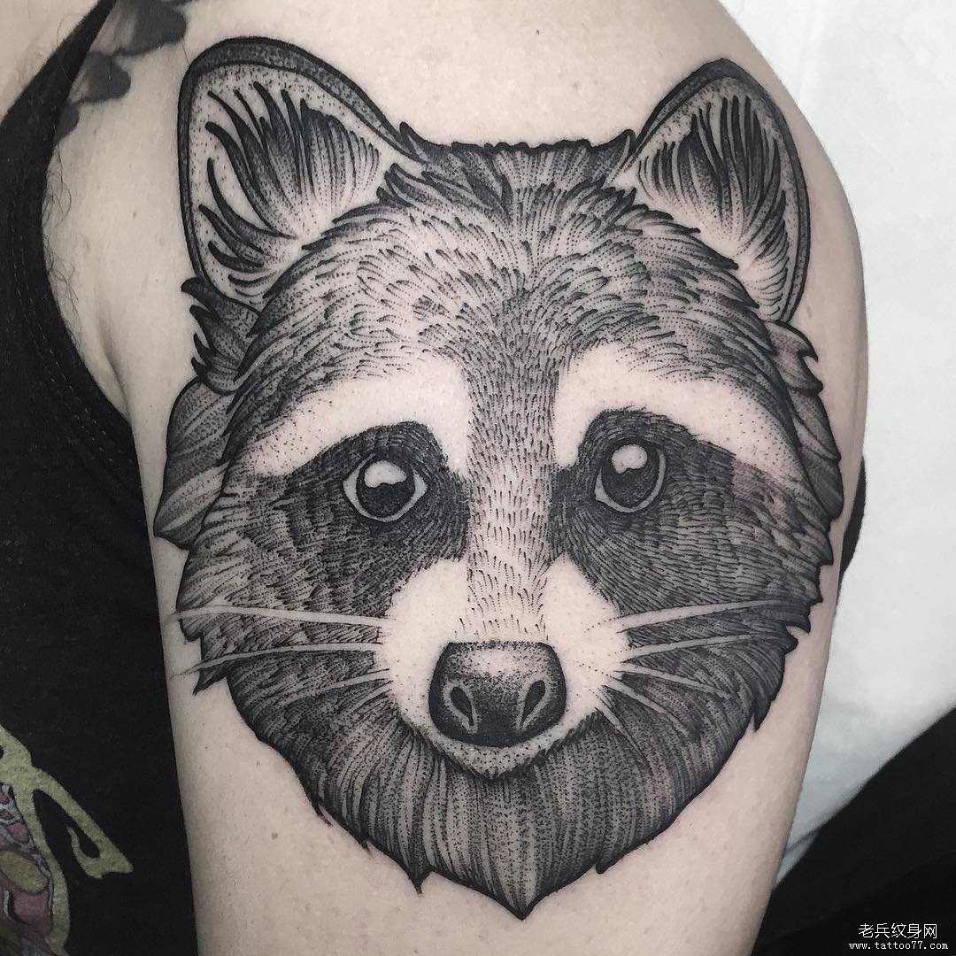 大臂欧美浣熊线条点刺纹身图案