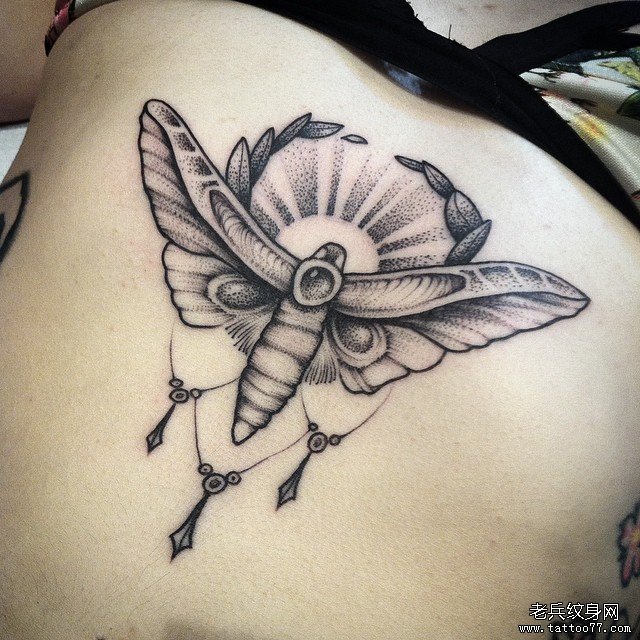 欧美胸部性感飞蛾点刺纹身图案
