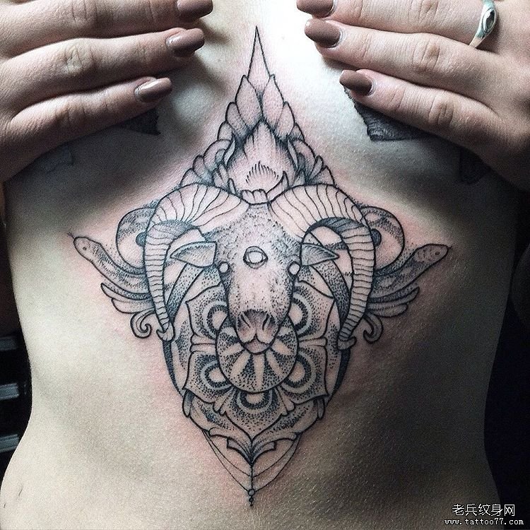 胸部羚羊梵花点刺纹身图案