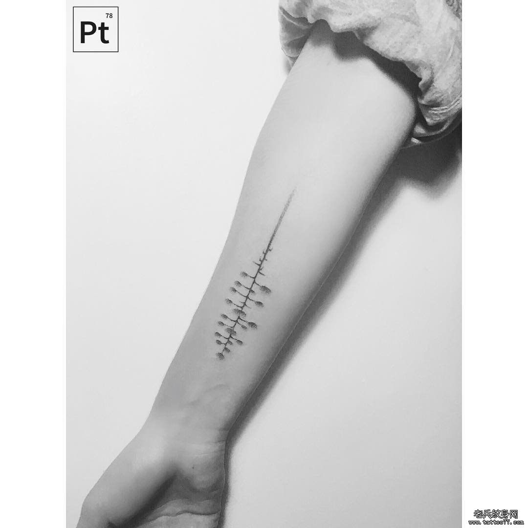 小臂小清新点刺植物纹身图案