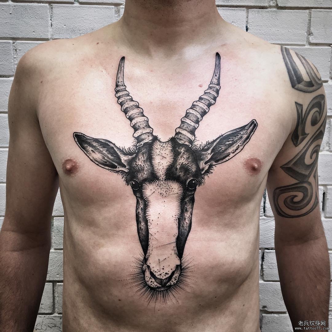 胸部欧美角马头像点刺纹身图案
