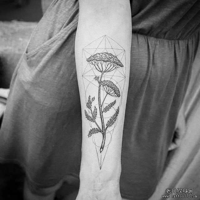 小臂小清新几何树木点刺纹身图案