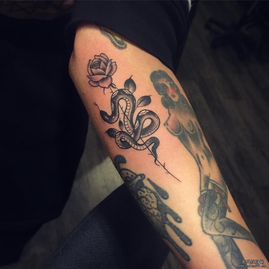 小臂欧美蛇玫瑰女郎纹身图案
