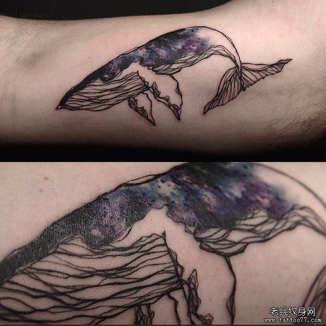 大臂星空鲸鱼线条纹身图案