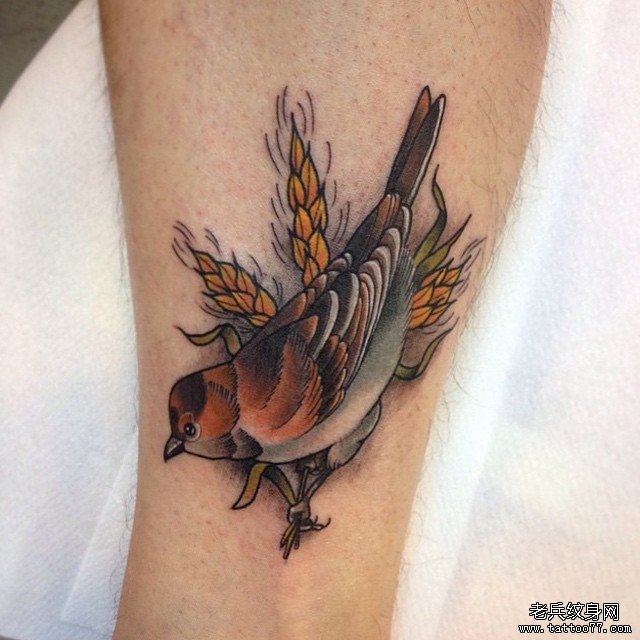 小腿欧美school小鸟麦穗纹身图案