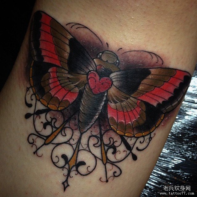 小臂欧美飞蛾心形纹身图案