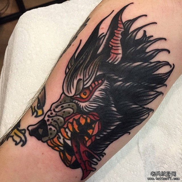 小臂old school狼头纹身图案