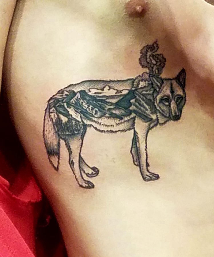 狼纹身 男生侧腰上黑灰的狼纹身图片