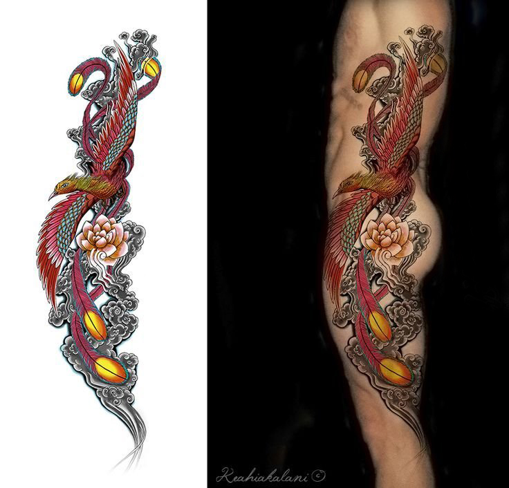 纹身凤凰 多款素描纹身彩色凤凰纹身图案