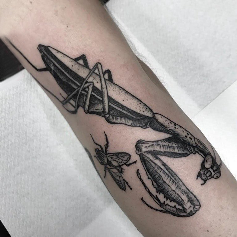 螳螂纹身图案 男生手臂上黑色的螳螂纹身图片