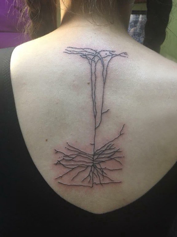 极简线条纹身  女生后背上黑色的极简线条纹身图片