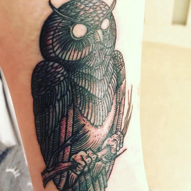 纹身猫头鹰  女生小臂上黑色的猫头鹰纹身图片