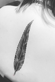 女生后背纹身图 女生后背上黑色的羽毛纹身图片