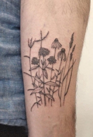 植物纹身 男生手臂上黑灰的植物纹身图片