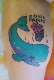 欧美小腿纹身 男生小腿上花朵和鲸鱼纹身图片