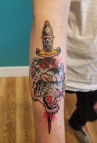 纹身老虎  男生手臂上老虎和匕首纹身图片
