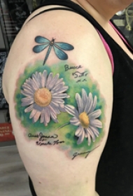 小清新植物纹身 女生大臂上蜻蜓和花朵纹身图片