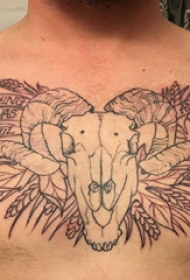 羊头纹身 男生胸部羊头纹身图片
