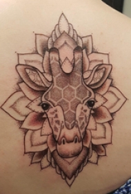 纹身后背女 女生后背上梵花和长颈鹿纹身图片缩略频道推荐图