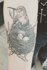 纹身鸟  女生小臂上黑灰的鸟纹身图片