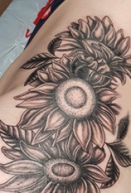 向日葵纹身图片 女生侧腰上黑色的向日葵纹身图片