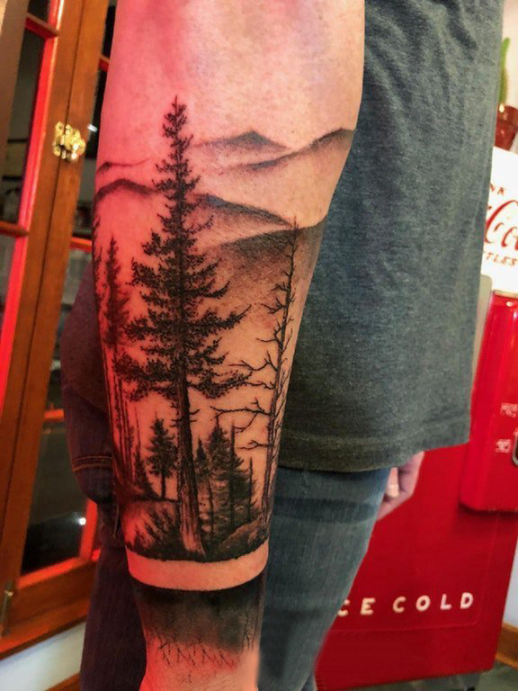 植物纹身 男生手臂上高大的松树纹身图片