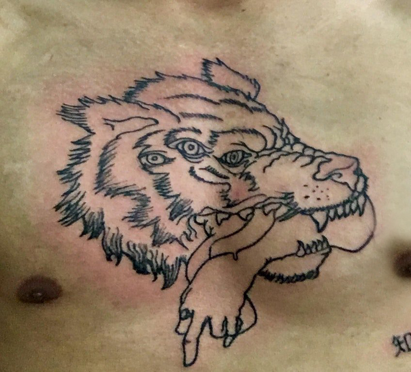 滴血狼头纹身  男生胸部黑色的狼头纹身图片