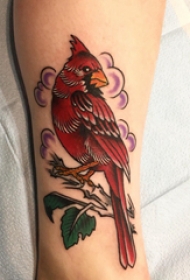 纹身鸟  女生小腿上彩绘的鸟纹身图片