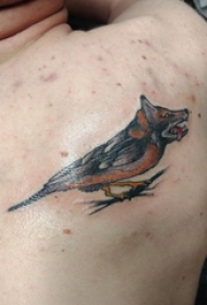 百乐动物纹身 男生后背上狼头和鸟纹身图片