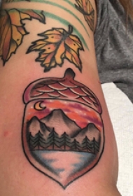 植物纹身 女生手臂上风景和松果纹身图片