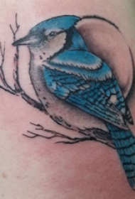 纹身鸟  男生手臂上鸟和树枝纹身图片