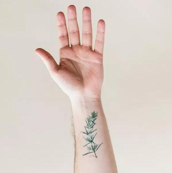 带有植物花卉香气的纹身图案