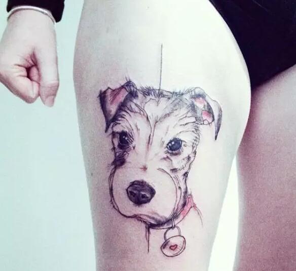 狗狗纹身 哪一款设计是你喜爱的
