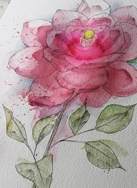 红色花朵纹身手稿