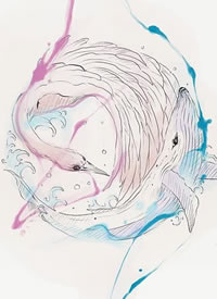 彩色天鹅+鲸鱼组成几何圆形纹身手稿缩略频道推荐图