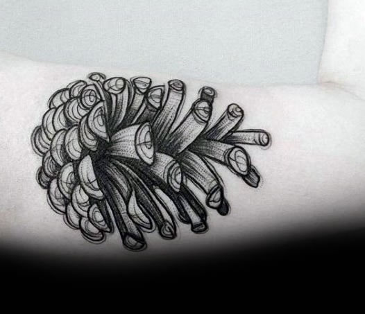 植物纹身   黑灰色调风格的松果纹身图案