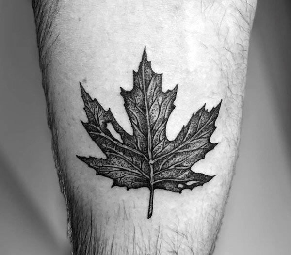 叶子纹身  经络分明的叶子纹身图案