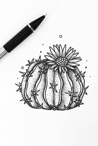 仙人球点刺纹身手稿