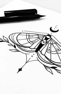 线条飞蛾月亮手稿图案