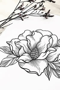 线条花卉手稿图案