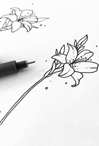 线条花卉纹身手稿