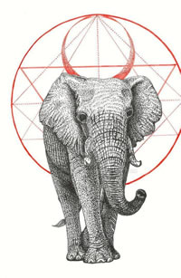 大象黑灰几何纹身手稿