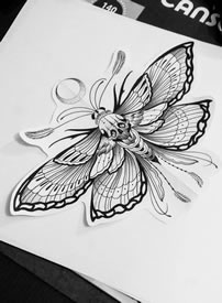 蝴蝶骷髅纹身手稿