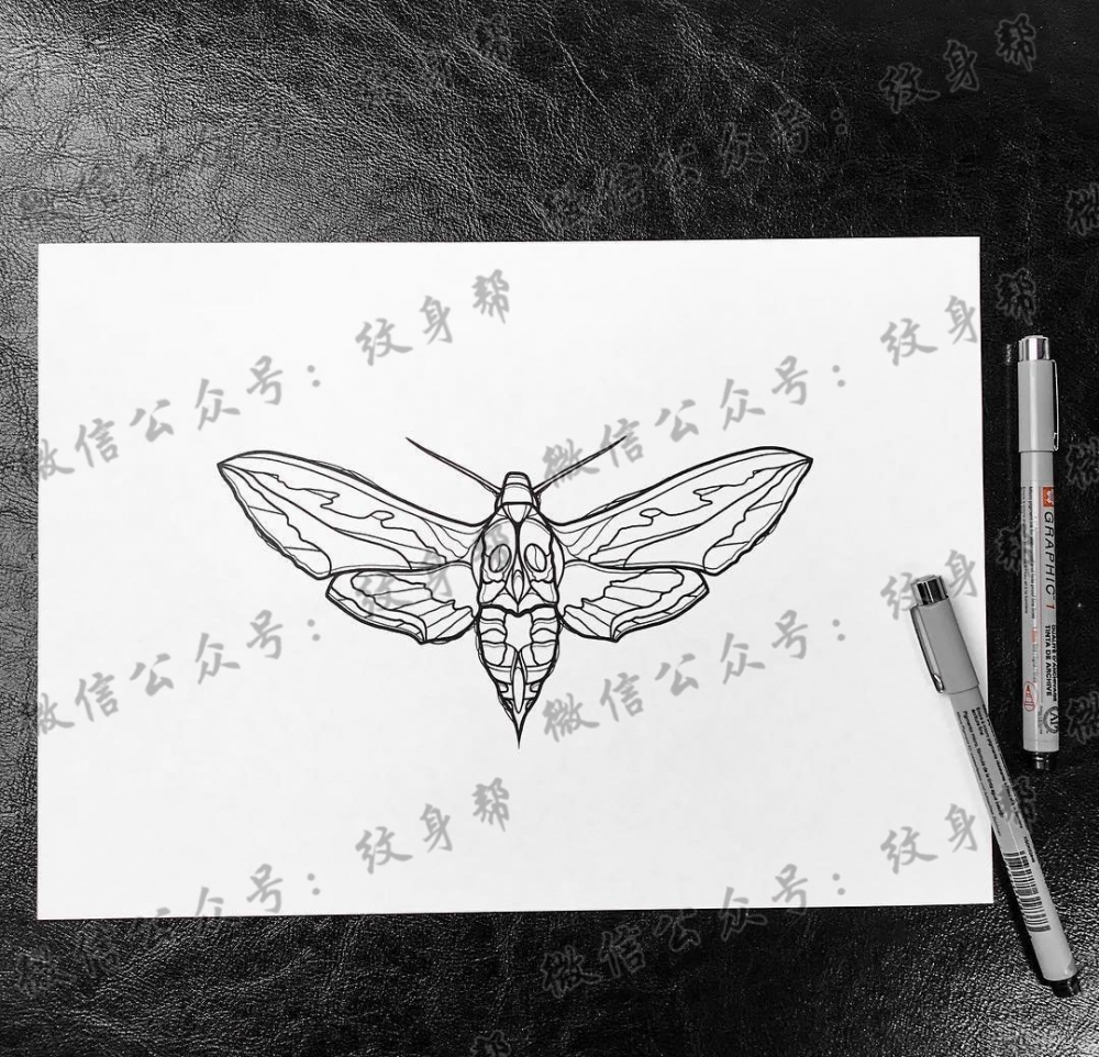 黑灰飞蛾纹身手稿