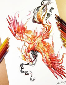 凤凰彩色纹身手稿