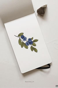 色彩水果纹身手稿